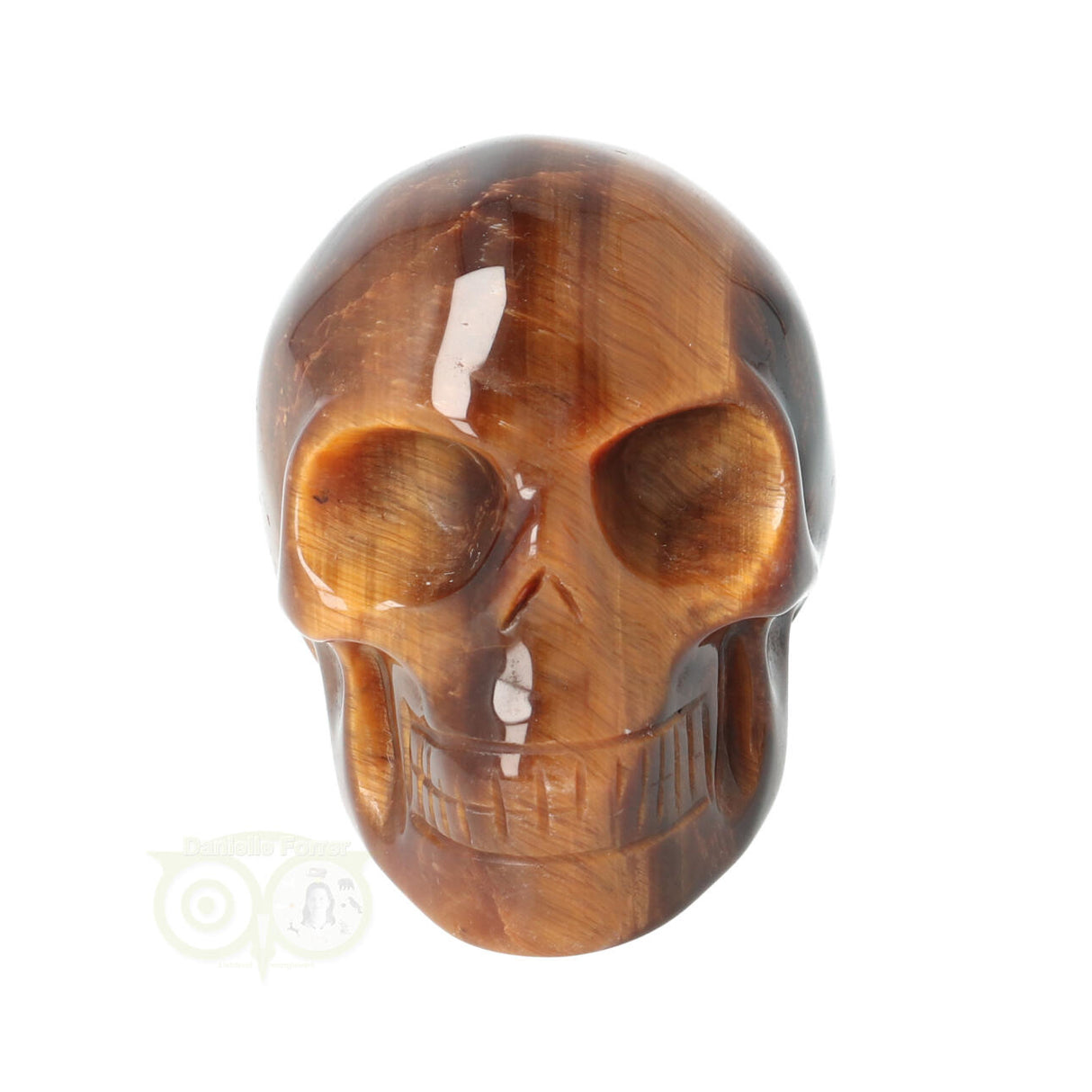 Tijgeroog schedel  Nr 15