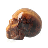 Tijgeroog schedel  Nr 15