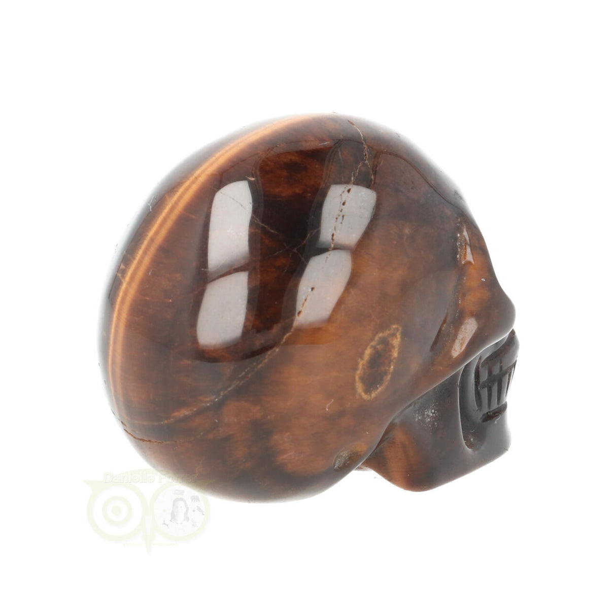 Tijgeroog schedel  Nr 19