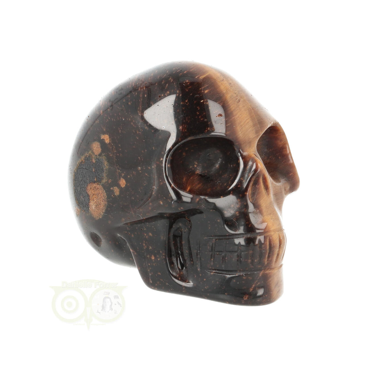 Tijgeroog schedel  Nr 20