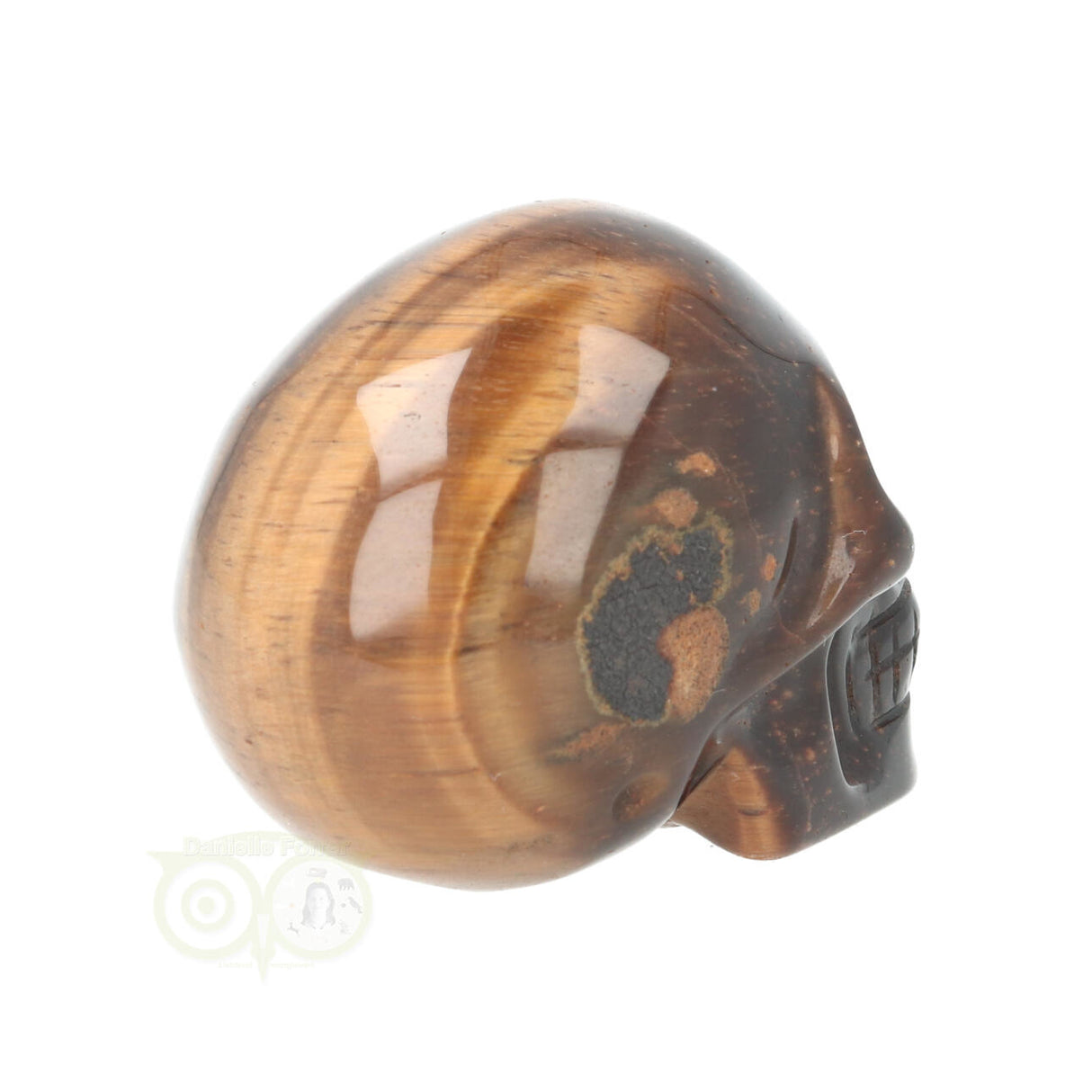 Tijgeroog schedel  Nr 20