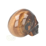 Tijgeroog schedel  Nr 20