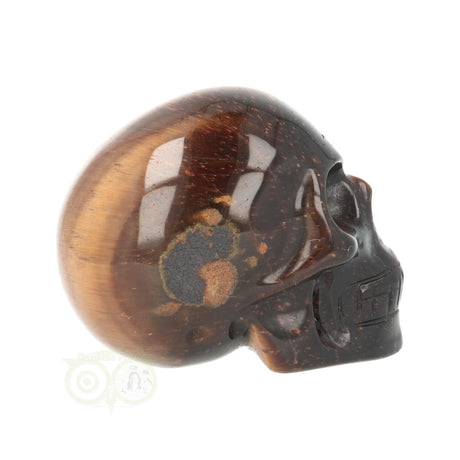 edelsteen skull tijgeroog klein