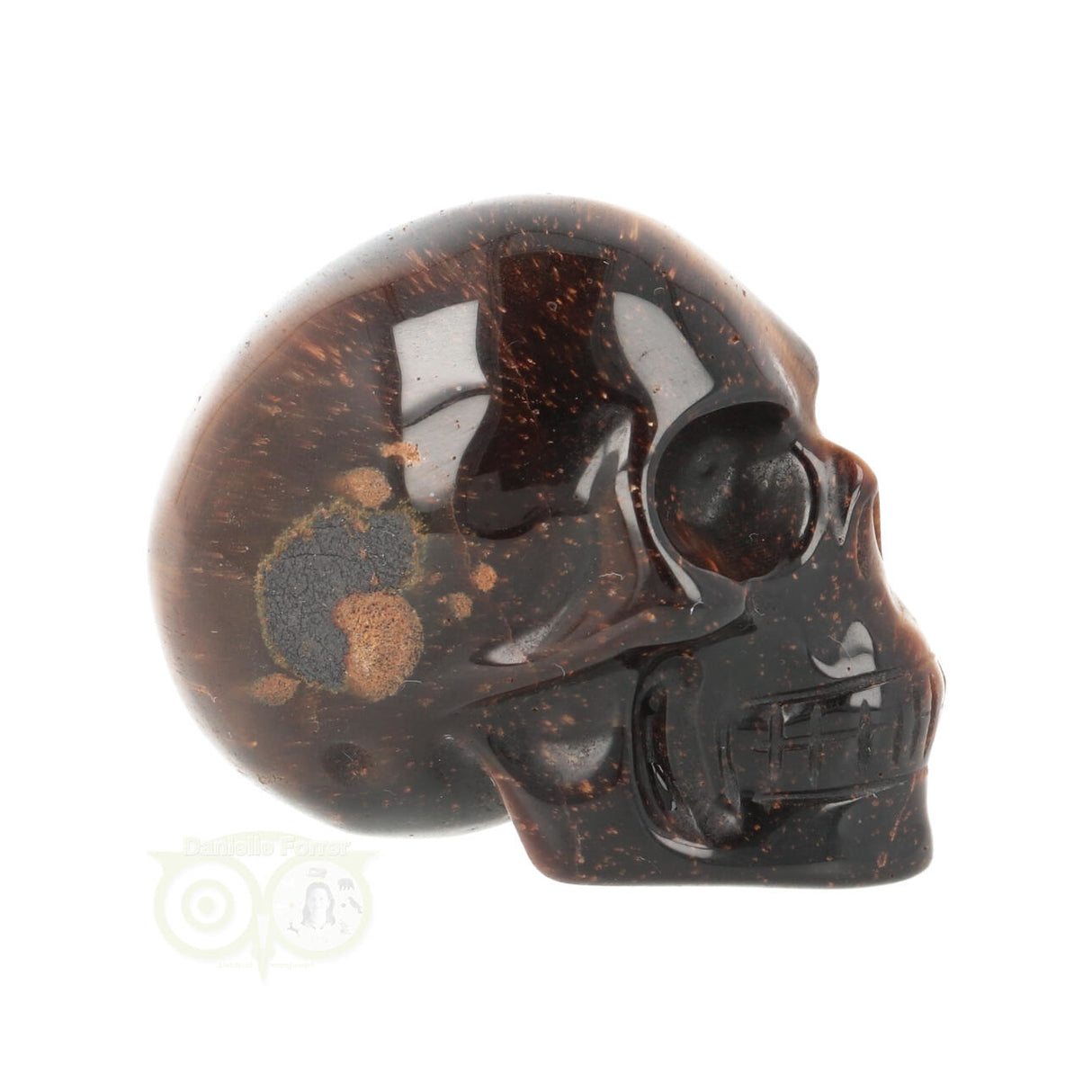 Tijgeroog schedel  Nr 20