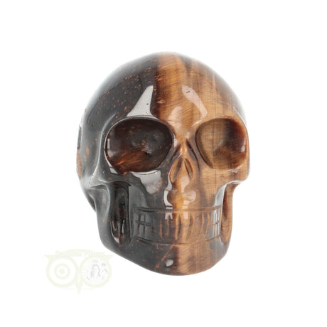 Tijgeroog schedel  Nr 20