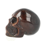 Tijgeroog schedel  Nr 20