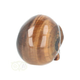 Tijgeroog schedel  Nr 20