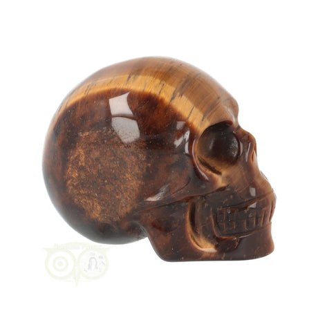 edelsteen skull tijgeroog klein