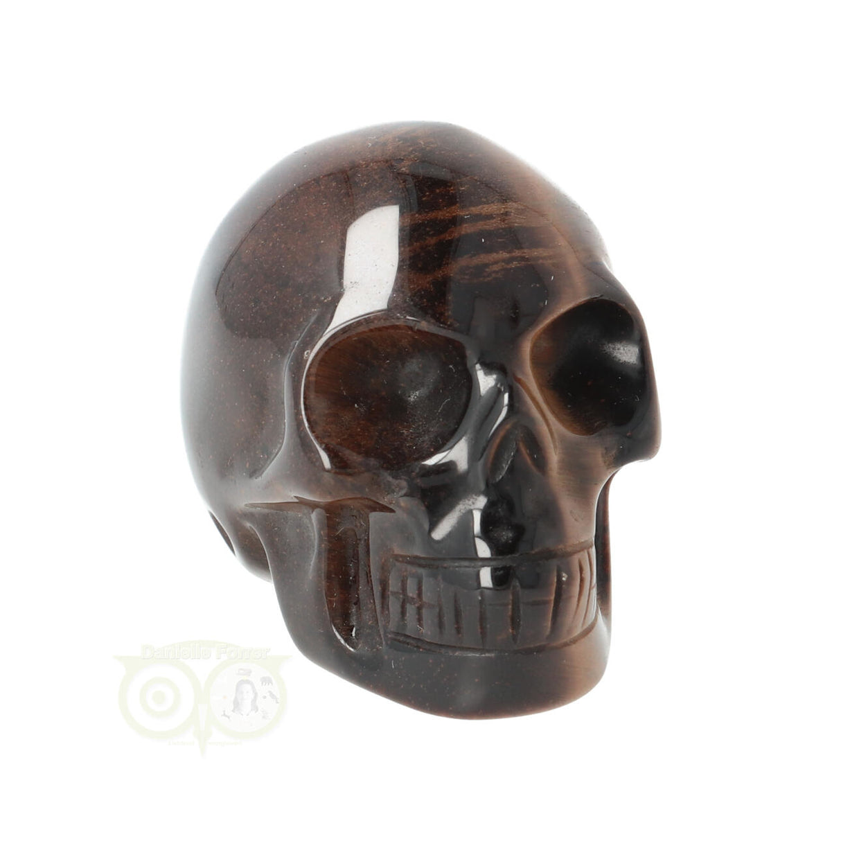 Tijgeroog schedel  Nr 4