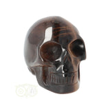 Tijgeroog schedel  Nr 4