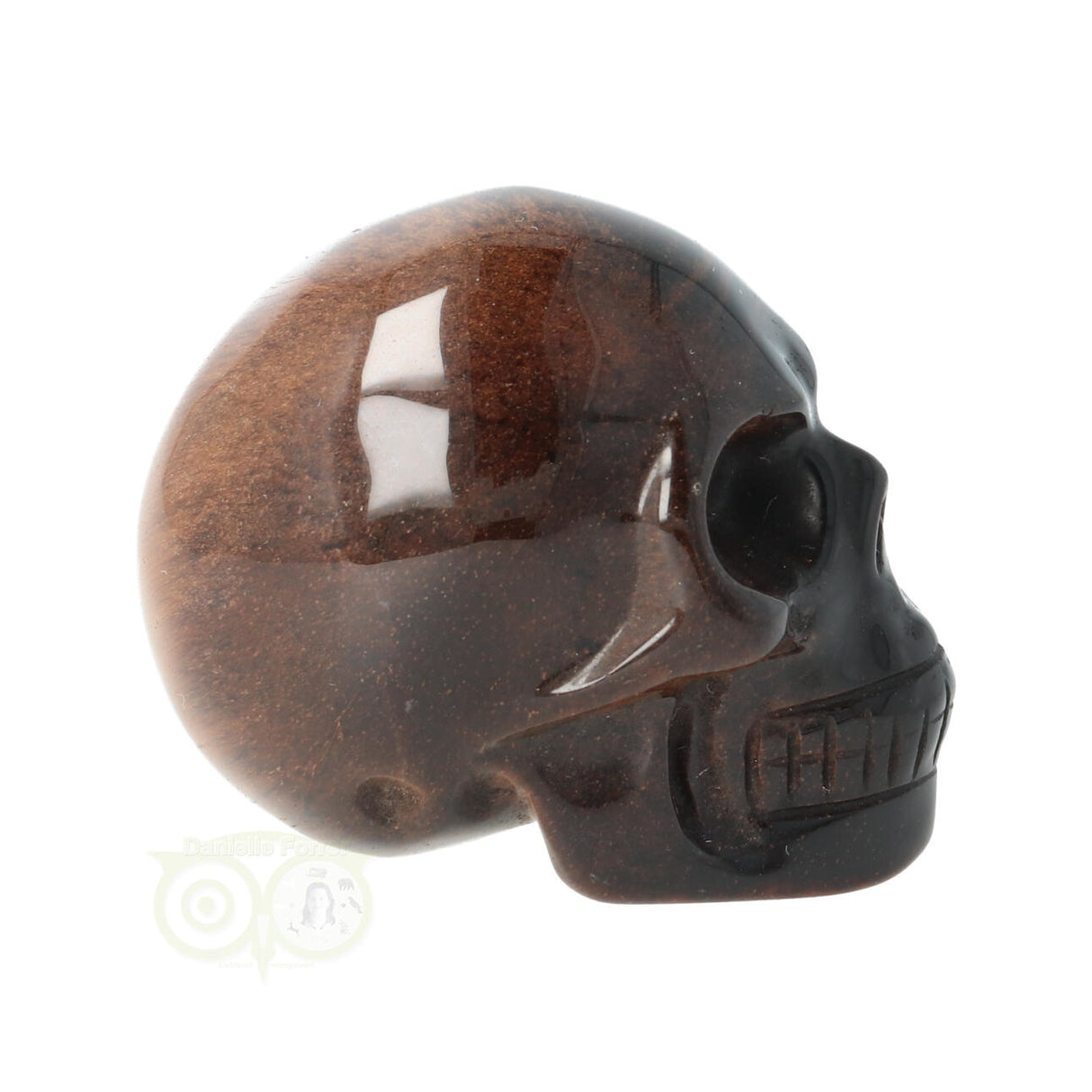 Tijgeroog schedel  Nr 4