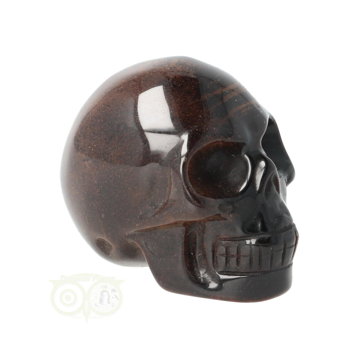 Tijgeroog schedel  Nr 4