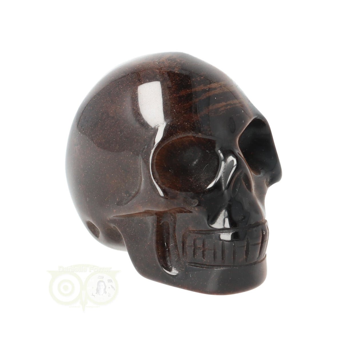 Tijgeroog schedel  Nr 4