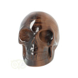 Tijgeroog schedel  Nr 4