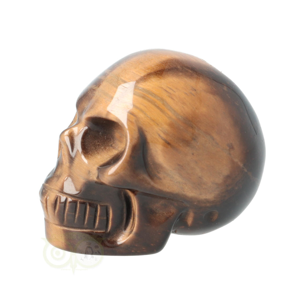 Tijgeroog schedel  Nr 4