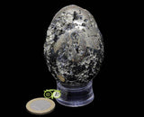 Transparante standaard  Voetje - 3 cm