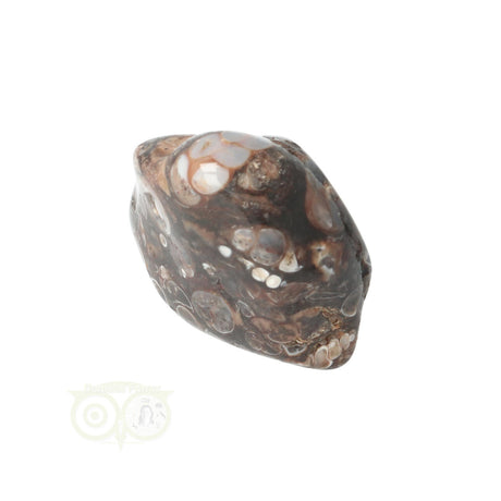 Turitella-Achat-Trommelstein Nr. 29
