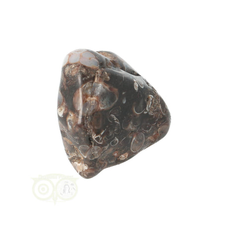 Turitella-Achat-Trommelstein Nr. 29