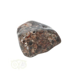 Turitella Agaat trommelsteen Nr 29