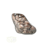 Turitella Agaat trommelsteen Nr 30