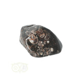 Turitella Agaat trommelsteen Nr 31