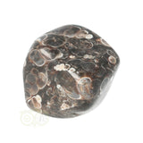 Turitella Agaat trommelsteen Nr 37