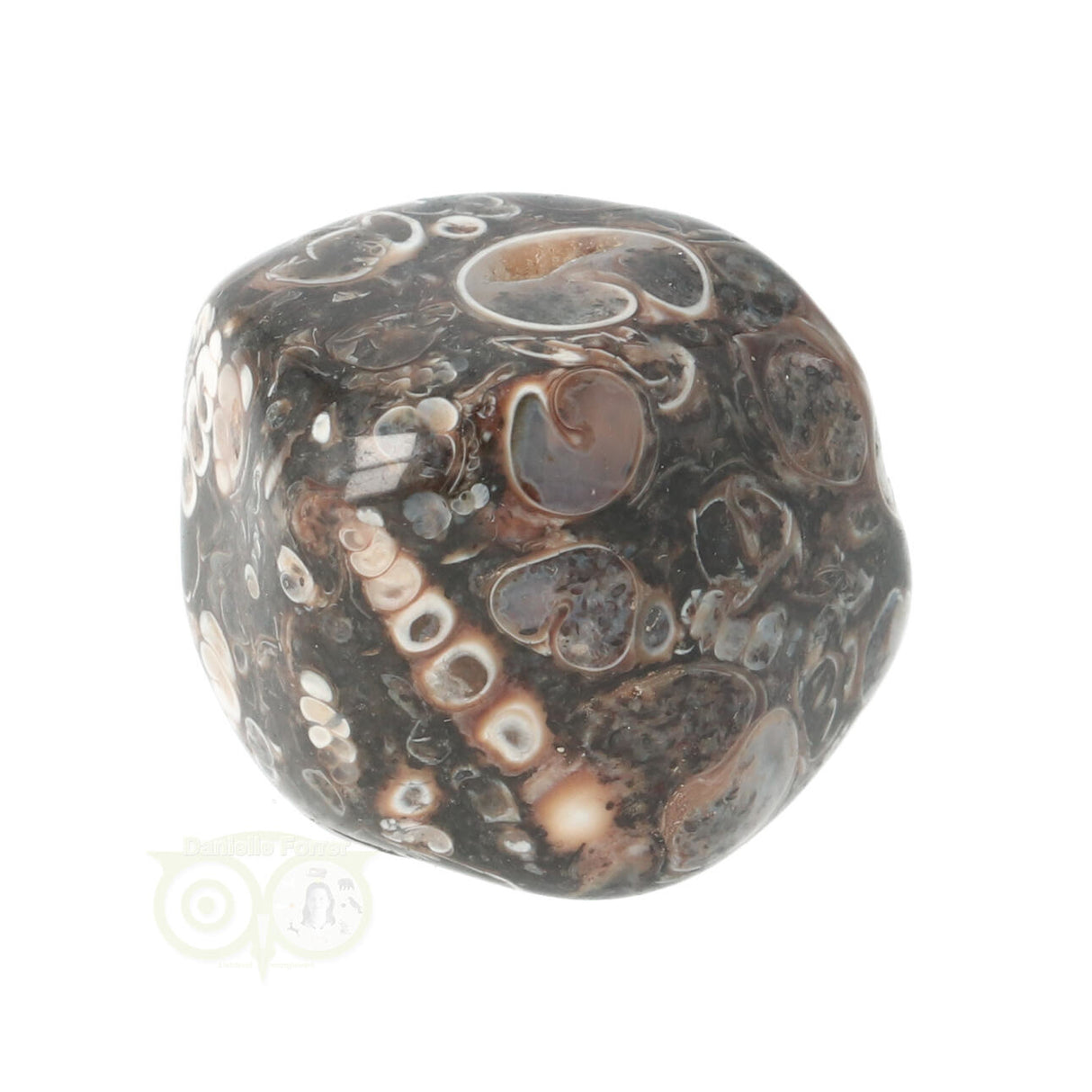 Turitella Agaat trommelsteen Nr 37