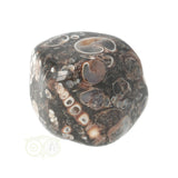 Turitella Agaat trommelsteen Nr 37