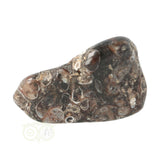 Turitella Agaat trommelsteen Nr 39