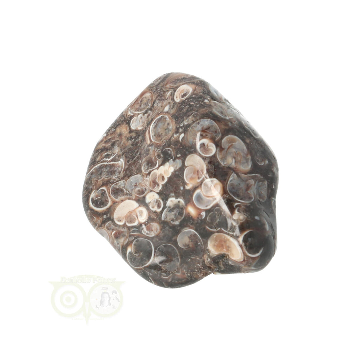 Turitella Agaat trommelsteen Nr 42