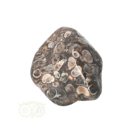 Turitella Agaat trommelsteen Nr 42