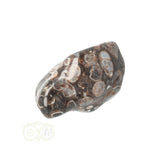 Turitella Agaat trommelsteen Nr 42