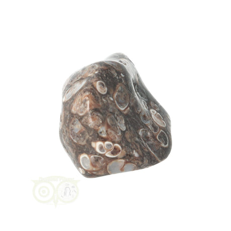 Turitella-Achat-Trommelstein Nr. 42