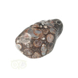 Turitella Agaat trommelsteen Nr 42