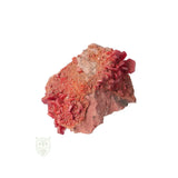 Vanadiniet Cluster Nr 26