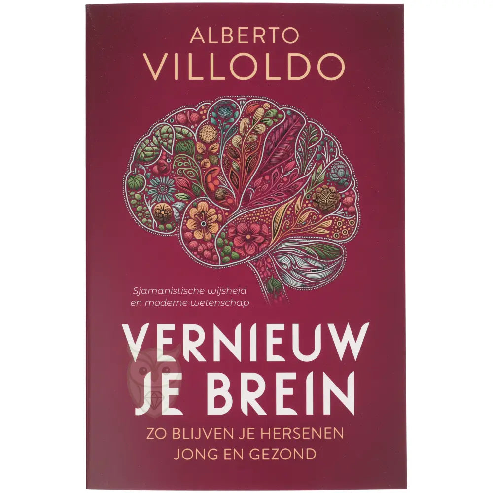 Vernieuw je brein - Alberto Villoldo