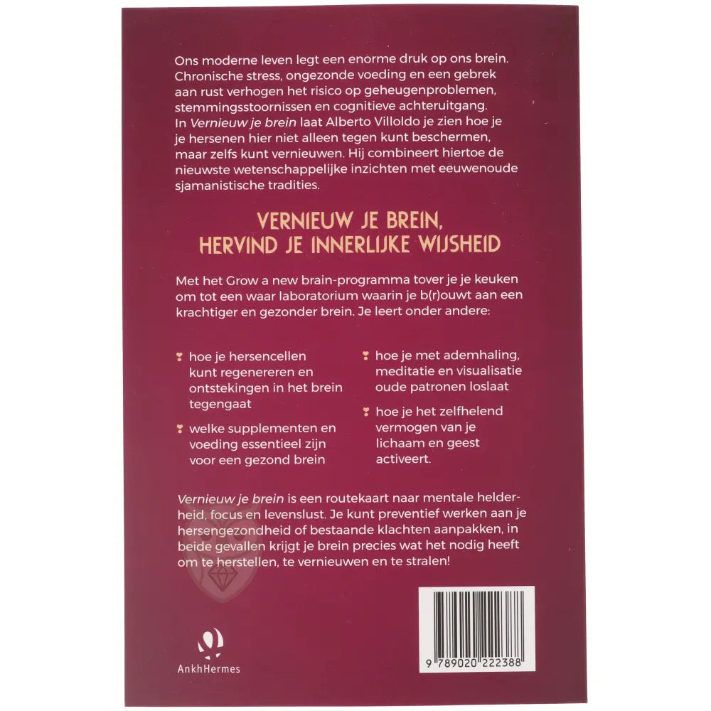 Vernieuw je brein - Alberto Villoldo
