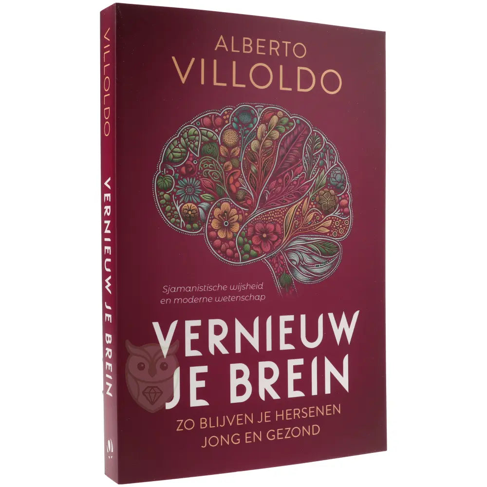 Vernieuw je brein - Alberto Villoldo