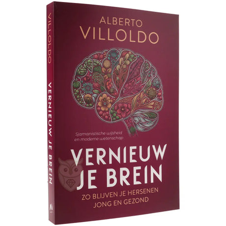 Vernieuw je brein - Alberto Villoldo