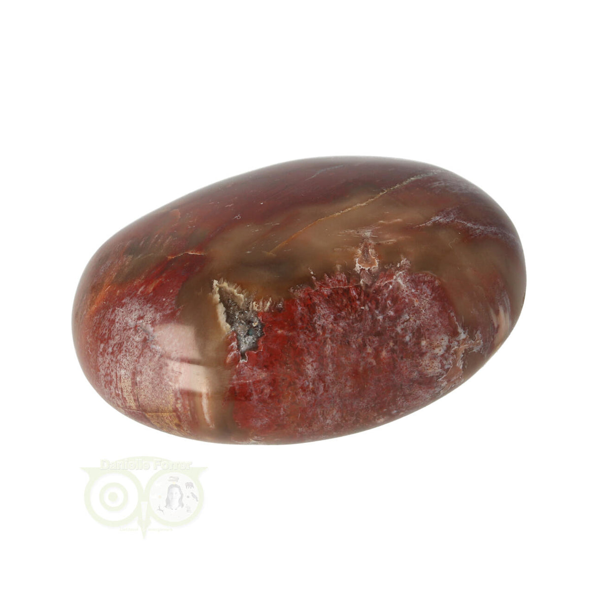 Versteend hout handsteen Nr 21