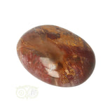 Versteend hout handsteen Nr 21