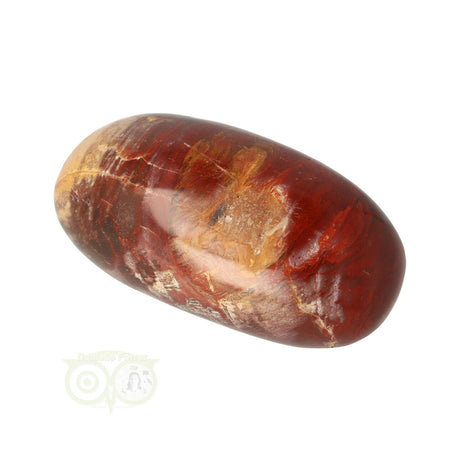 Versteend hout handsteen Nr 24 van 81,5 gram uit Madagaskar