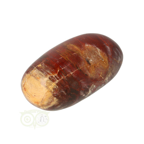 Versteend hout handsteen Nr 24