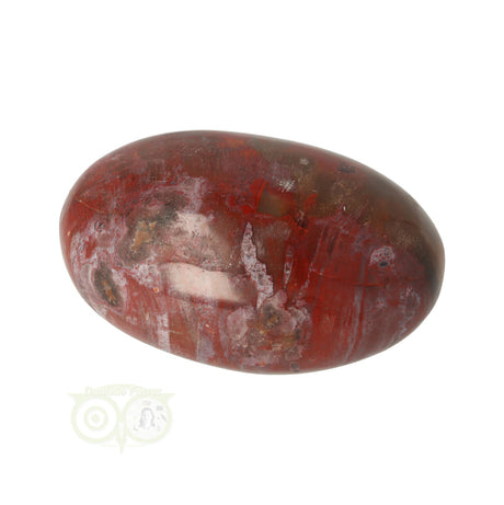 Handgeslepen versteend hout handsteen Nr 27 63,5 gram