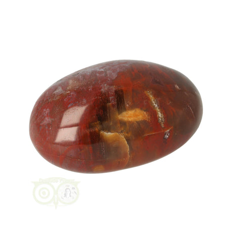 Versteend hout handsteen Nr 27 van 63,5 gram uit Madagaskar