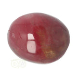 Versteend hout handsteen Nr 35