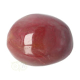 Versteend hout handsteen Nr 35