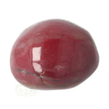 Versteend hout handsteen Nr 35