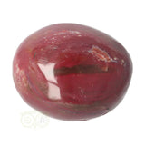 Versteend hout handsteen Nr 35