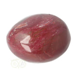 Versteend hout handsteen Nr 35